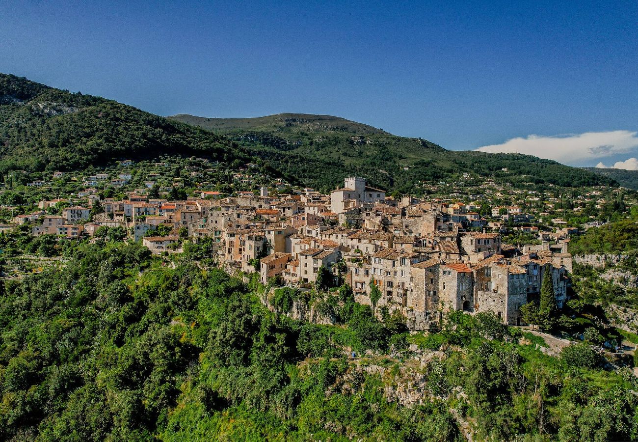 House in Tourrettes-sur-Loup - VILLA POMELA