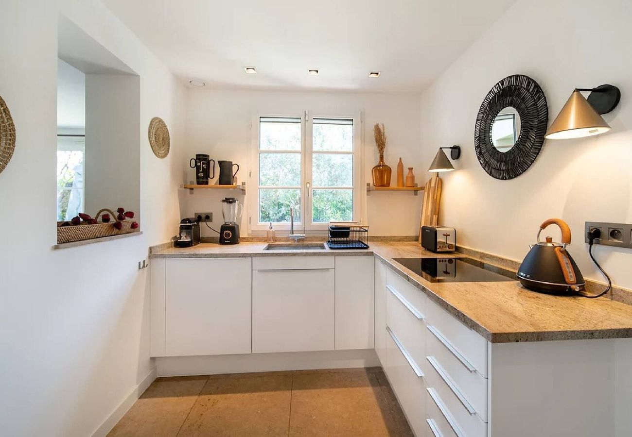 House in Tourrettes-sur-Loup - VILLA VIOLETTE 1