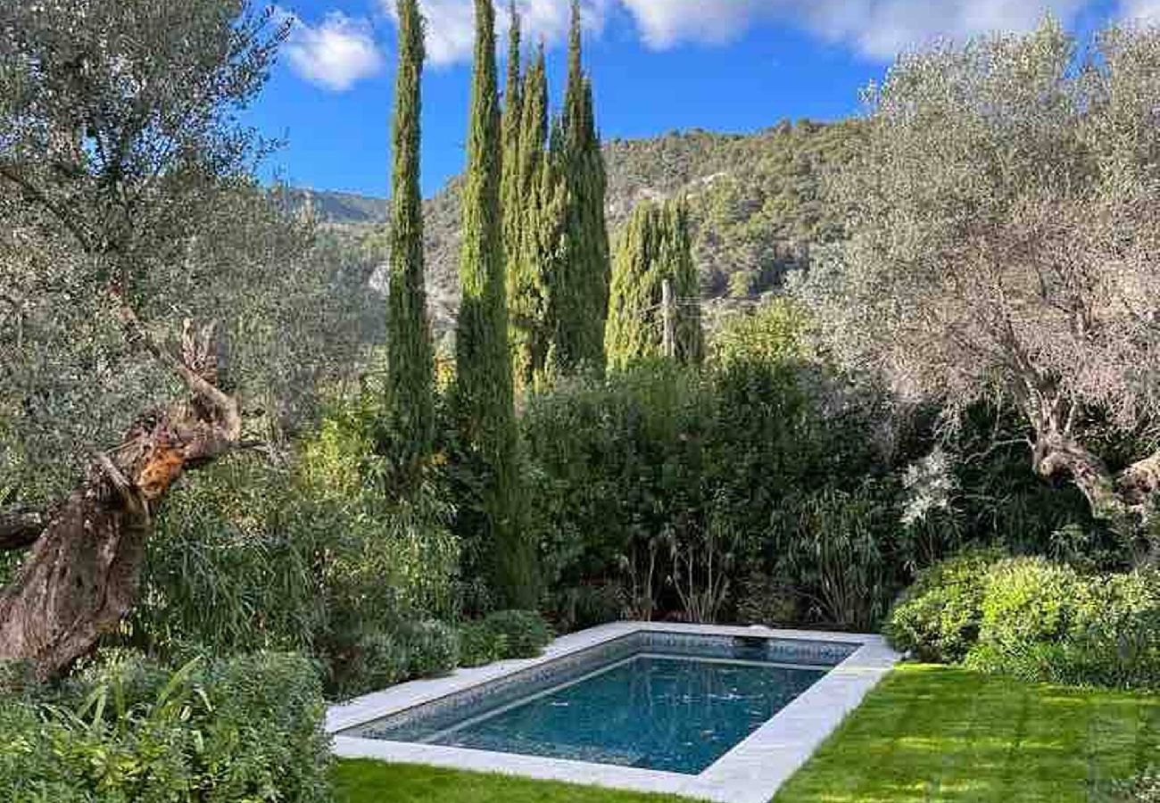 House in Tourrettes-sur-Loup - VILLA VIOLETTE 1