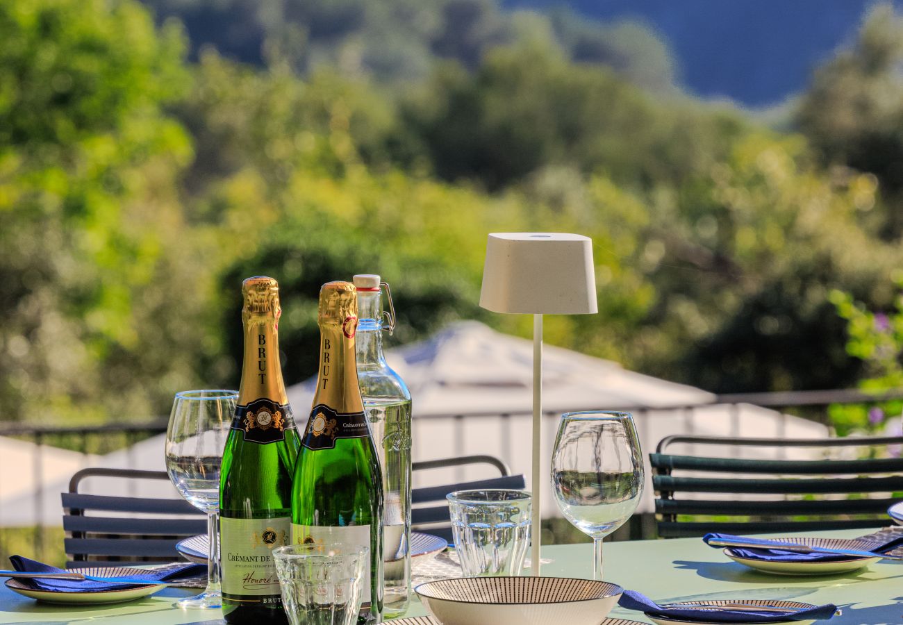 Villa in Tourrettes-sur-Loup - VILLA PALOMA