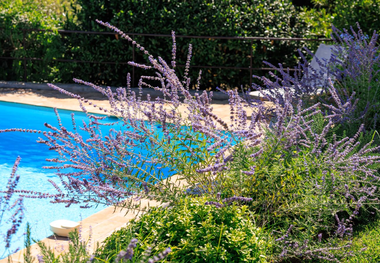 Villa in Mouans-Sartoux - VILLA VALERIA