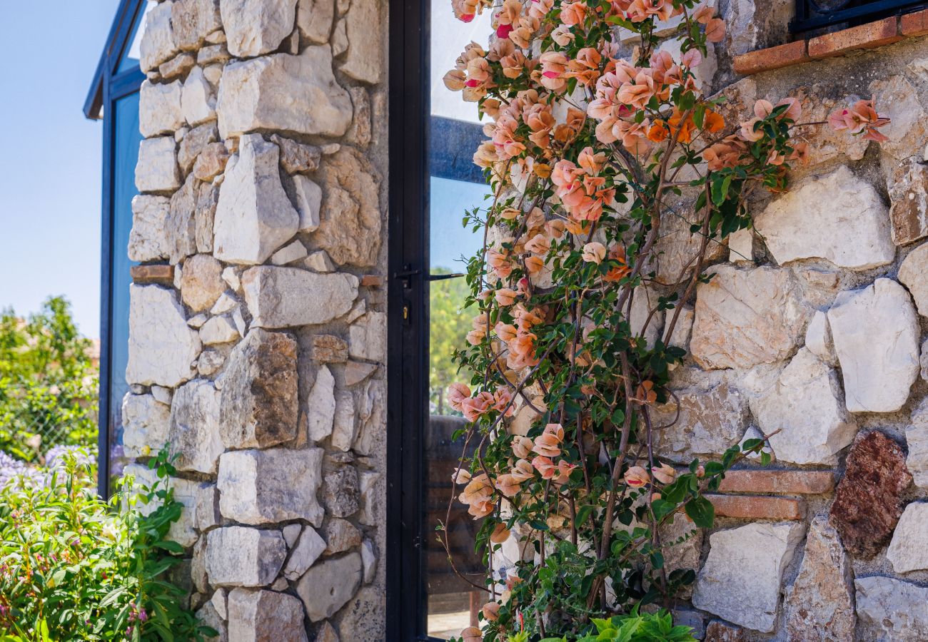 House in Tourrettes-sur-Loup - MAISON CANORGUES