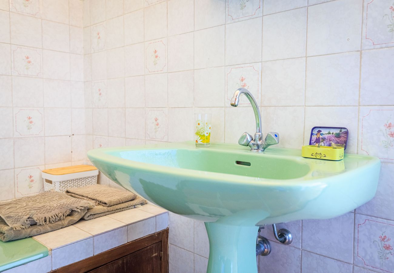 House in Tourrettes-sur-Loup - MAISON CANORGUES