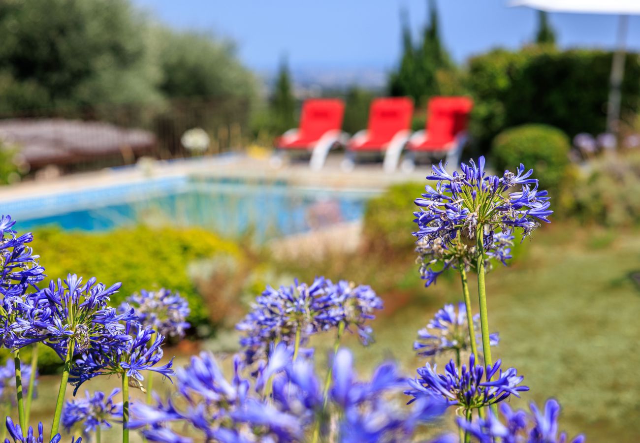 House in Tourrettes-sur-Loup - VILLA L’HERBIER