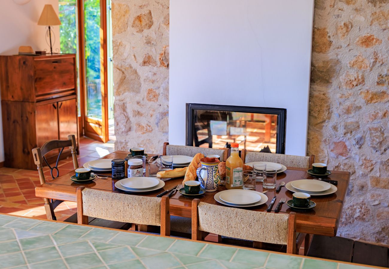 Villa in Tourrettes-sur-Loup - VILLA LA BERGERIE