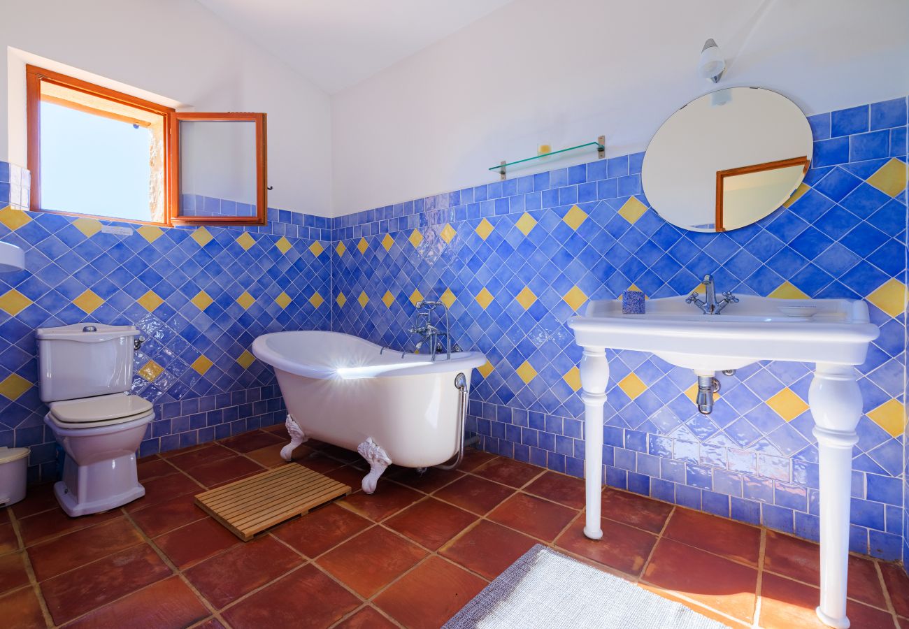 Villa in Tourrettes-sur-Loup - VILLA LA BERGERIE