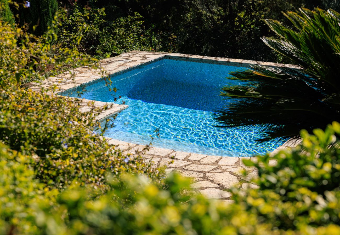 Villa in Tourrettes-sur-Loup - VILLA LA BERGERIE