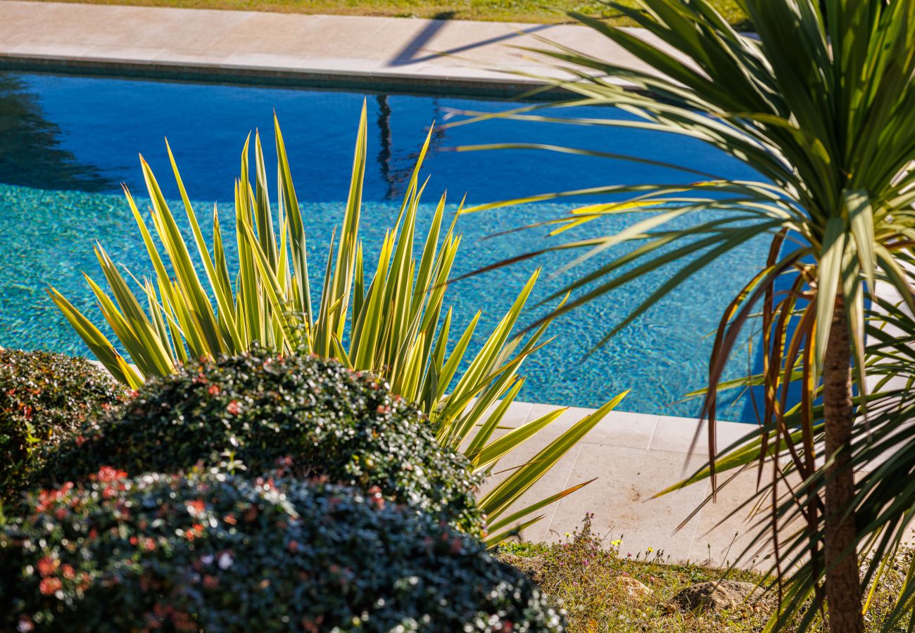 Villa in Tourrettes-sur-Loup - VILLA DU ROUCASSET