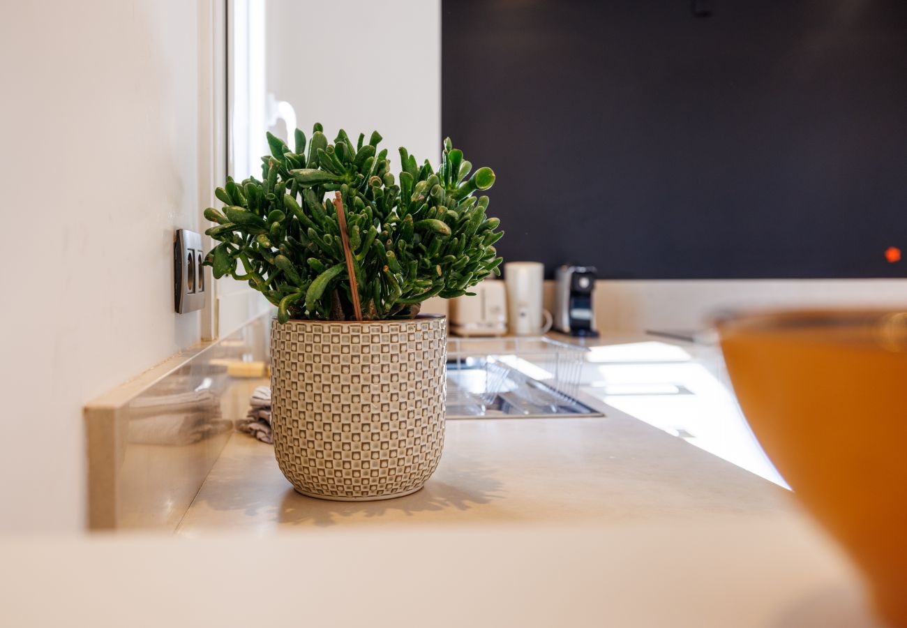 Apartment in Tourrettes-sur-Loup - APT LE NID