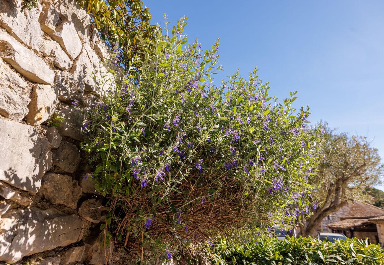 Apartment in Tourrettes-sur-Loup - APT MOULIN ST-JEAN