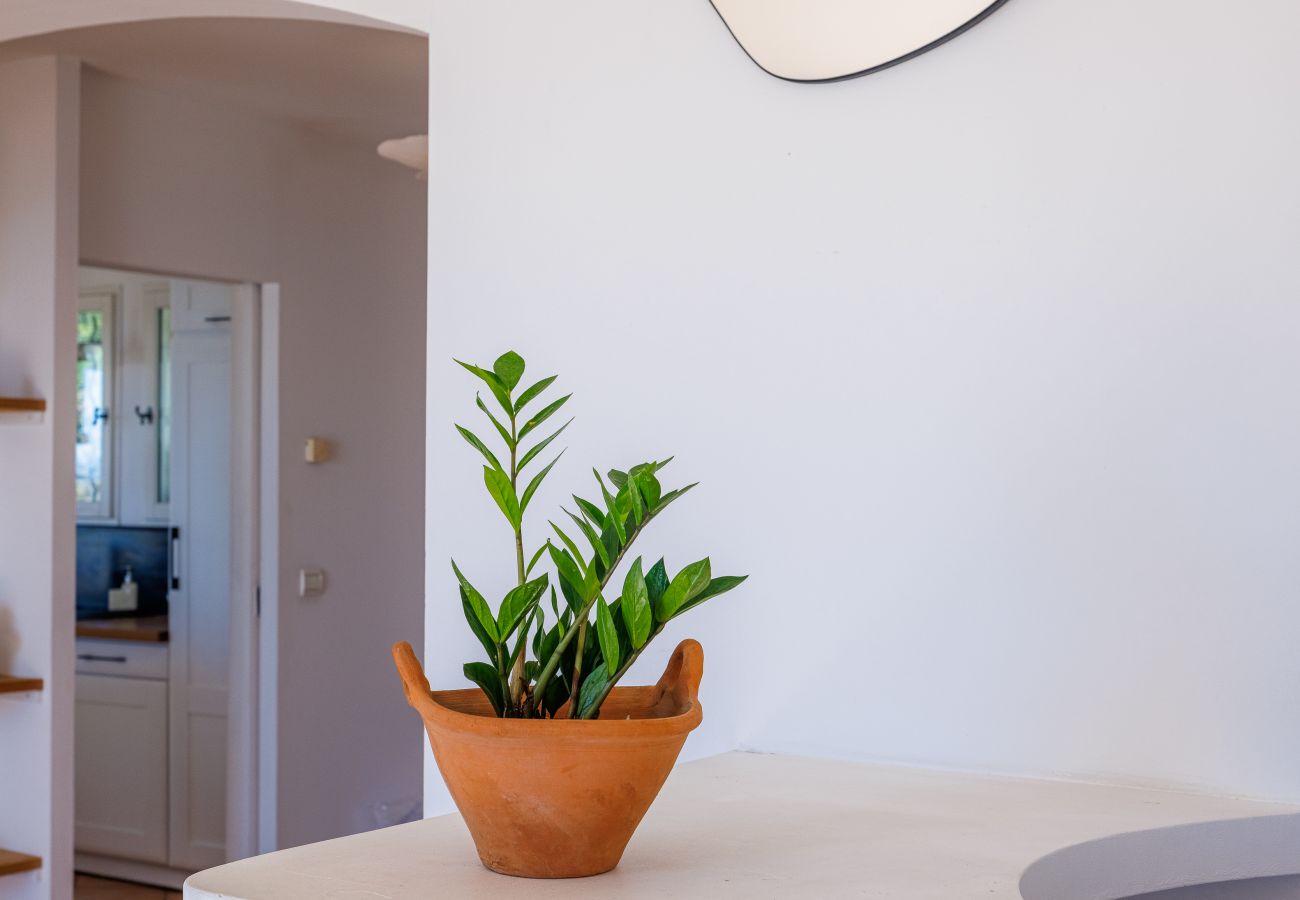 House in Tourrettes-sur-Loup - LA CABANETTE