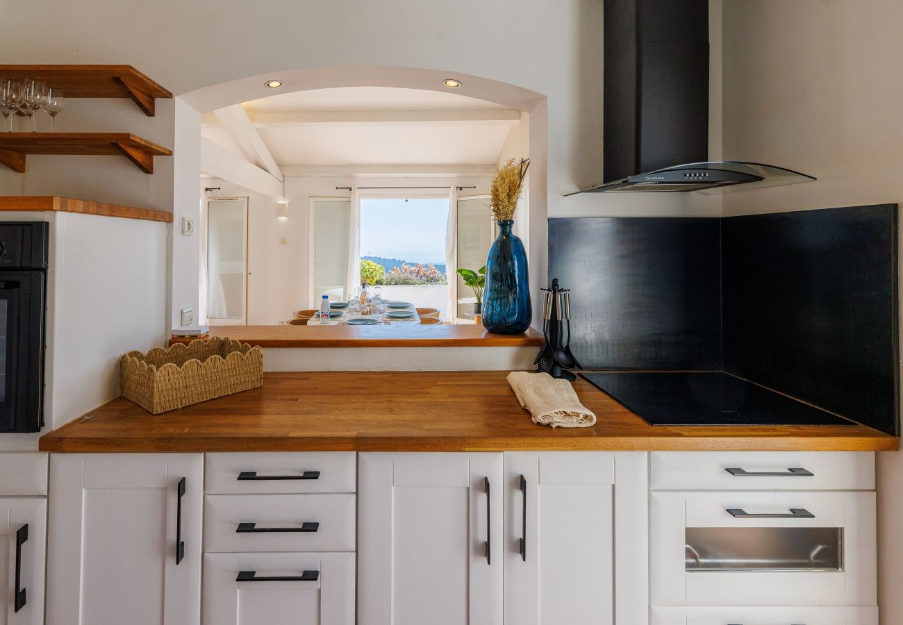 House in Tourrettes-sur-Loup - LA CABANETTE