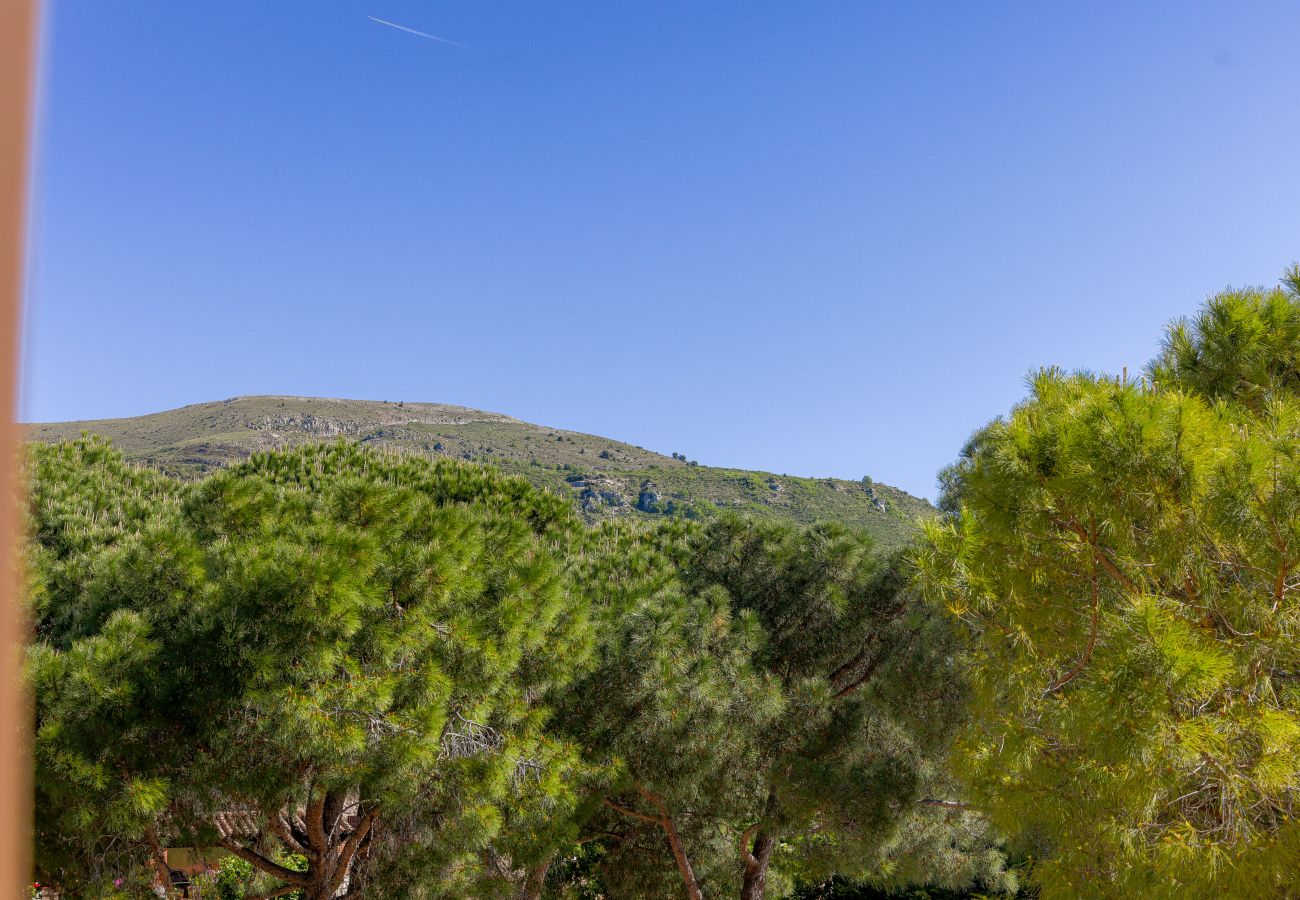 Apartment in Tourrettes-sur-Loup - APT LIBELULE