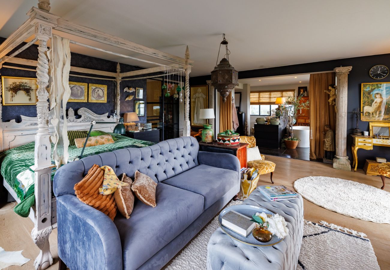 Villa in Tourrettes-sur-Loup - VILLA LES CANETTES