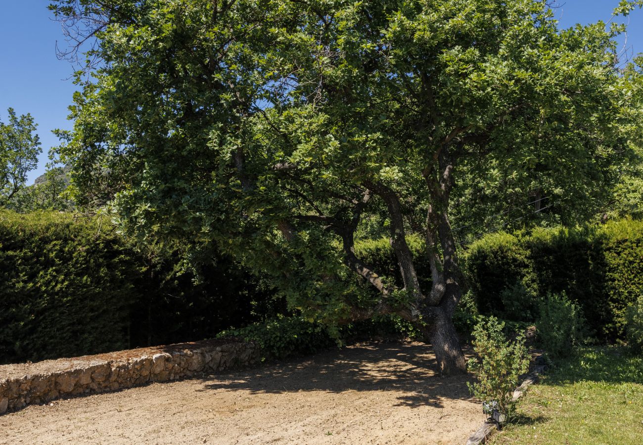 Villa in Tourrettes-sur-Loup - LE PRE NEUF