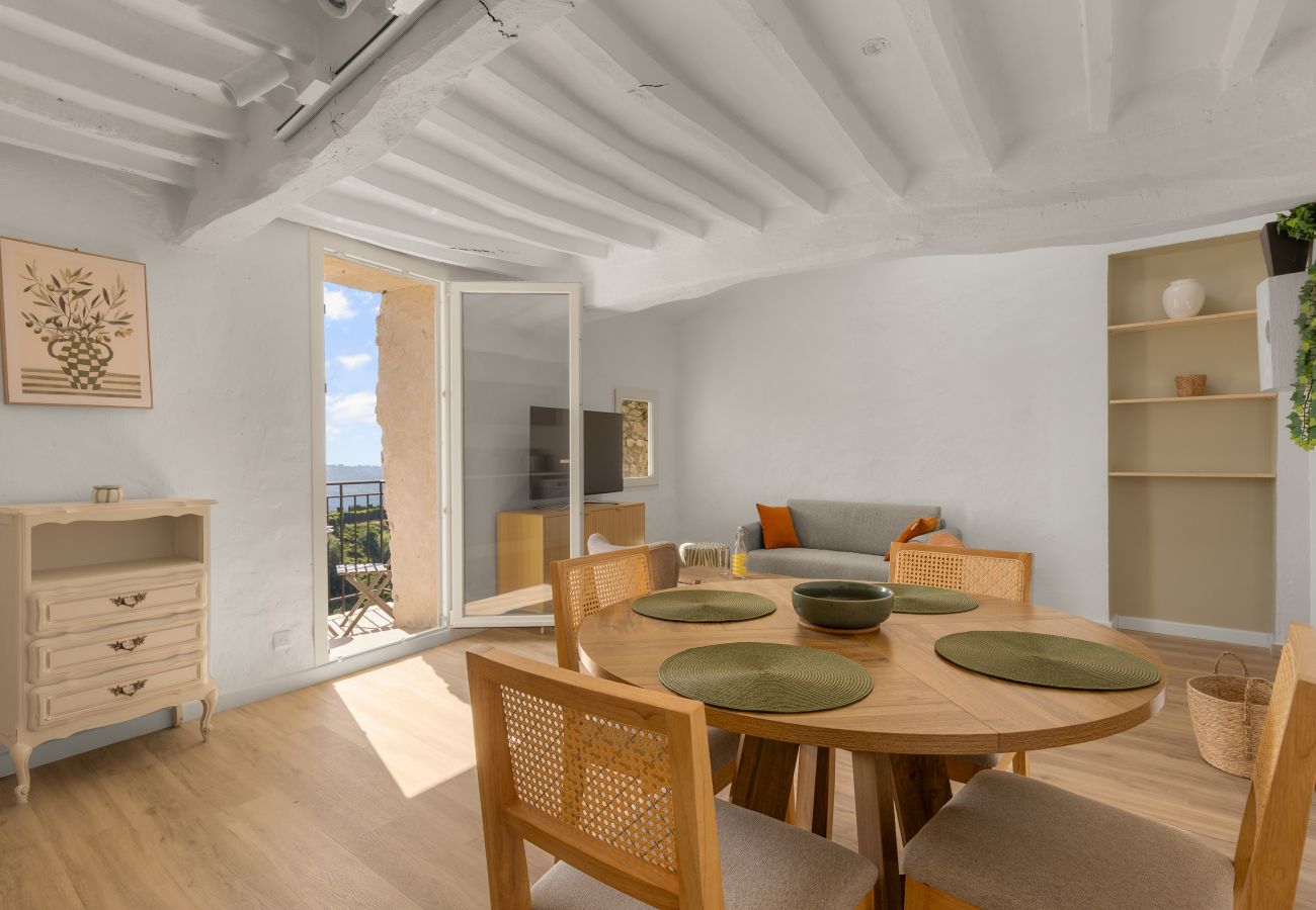 Apartment in Tourrettes-sur-Loup - APT L'HOSPITAL