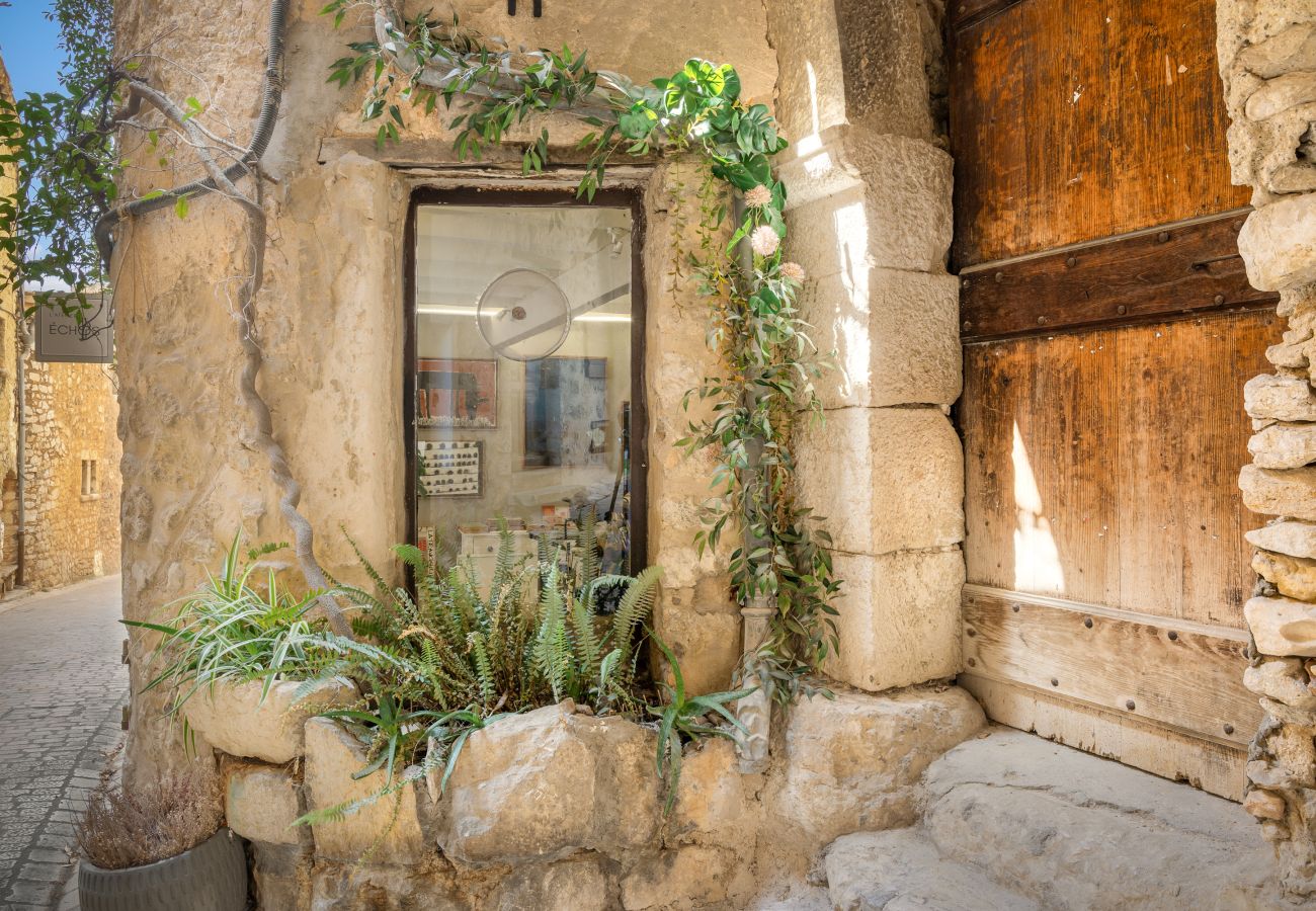 Apartment in Tourrettes-sur-Loup - APT L'HOSPITAL