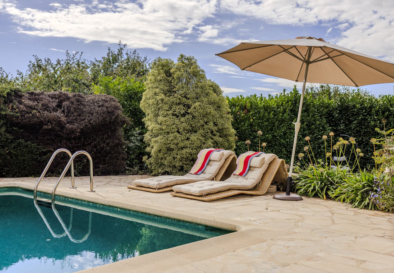 Villa à Tourrettes-sur-Loup - VILLA OASIS