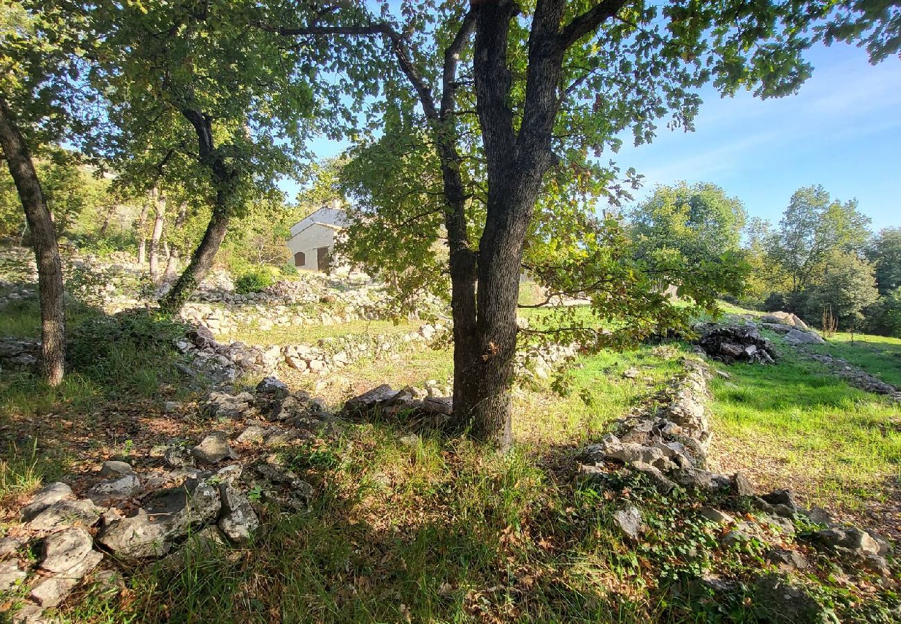 Villa à Tourrettes-sur-Loup - VILLA PALOMA