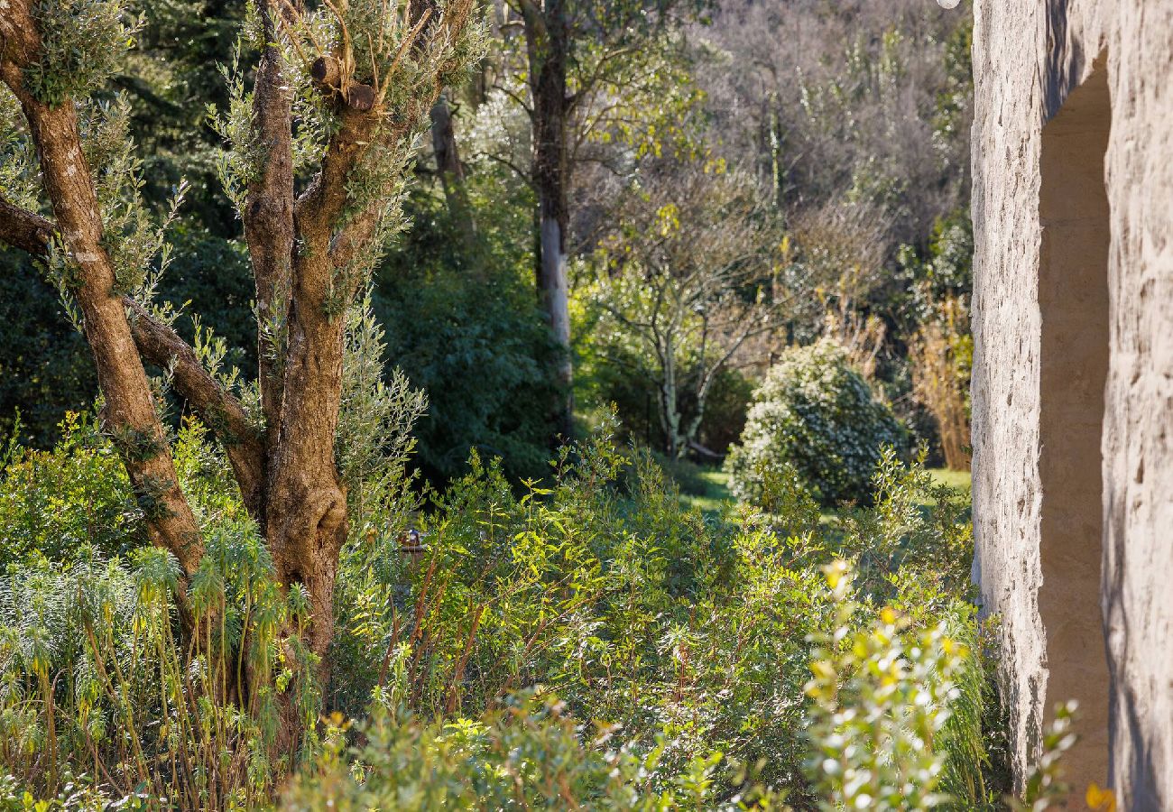 Villa à Tourrettes-sur-Loup - VILLA HEALTH