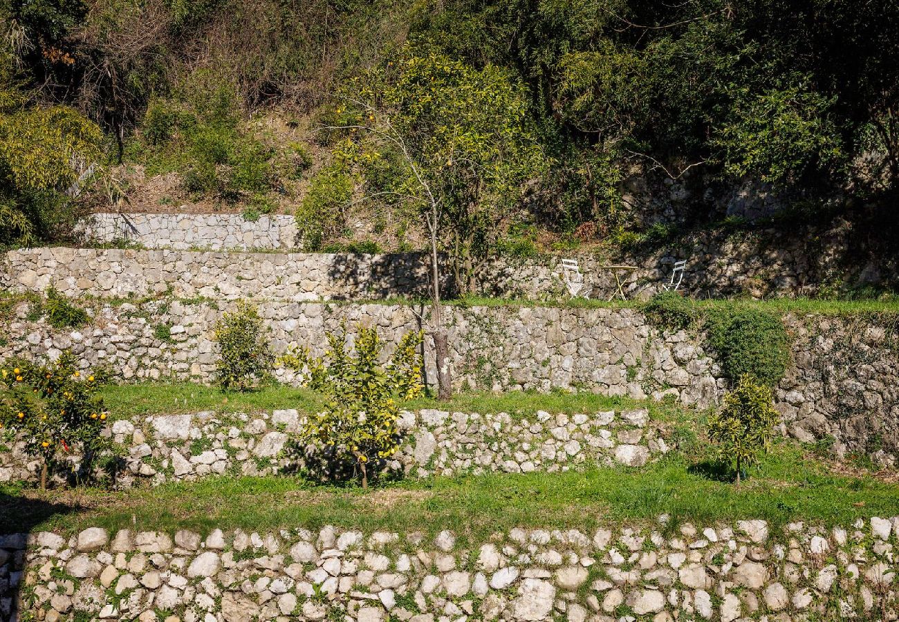 Villa à Tourrettes-sur-Loup - VILLA HEALTH
