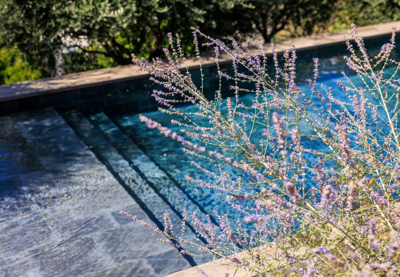 Maison à Saint Paul de Vence - VILLA EDEN