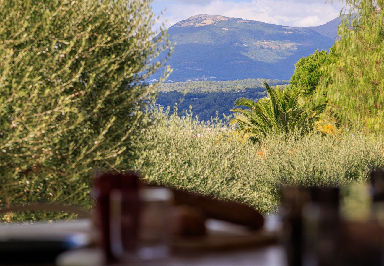 Maison à Saint Paul de Vence - VILLA EDEN