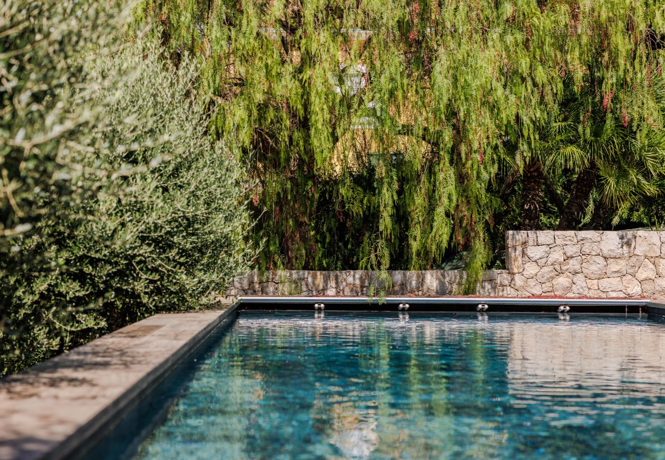 Maison à Saint Paul de Vence - VILLA EDEN