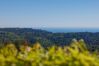 Villa à Tourrettes-sur-Loup - LE MAS DU SOLEIL