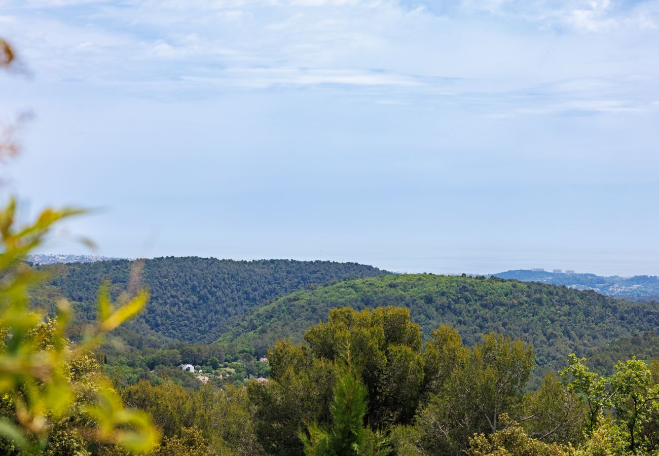 Villa à Tourrettes-sur-Loup - VILLA LES CANETTES