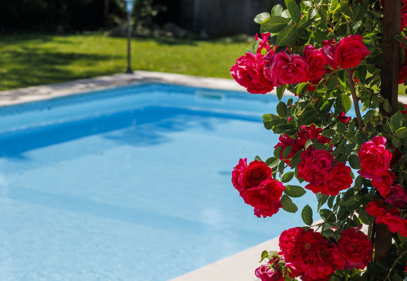 Villa à Vence - VILLA LA SINE
